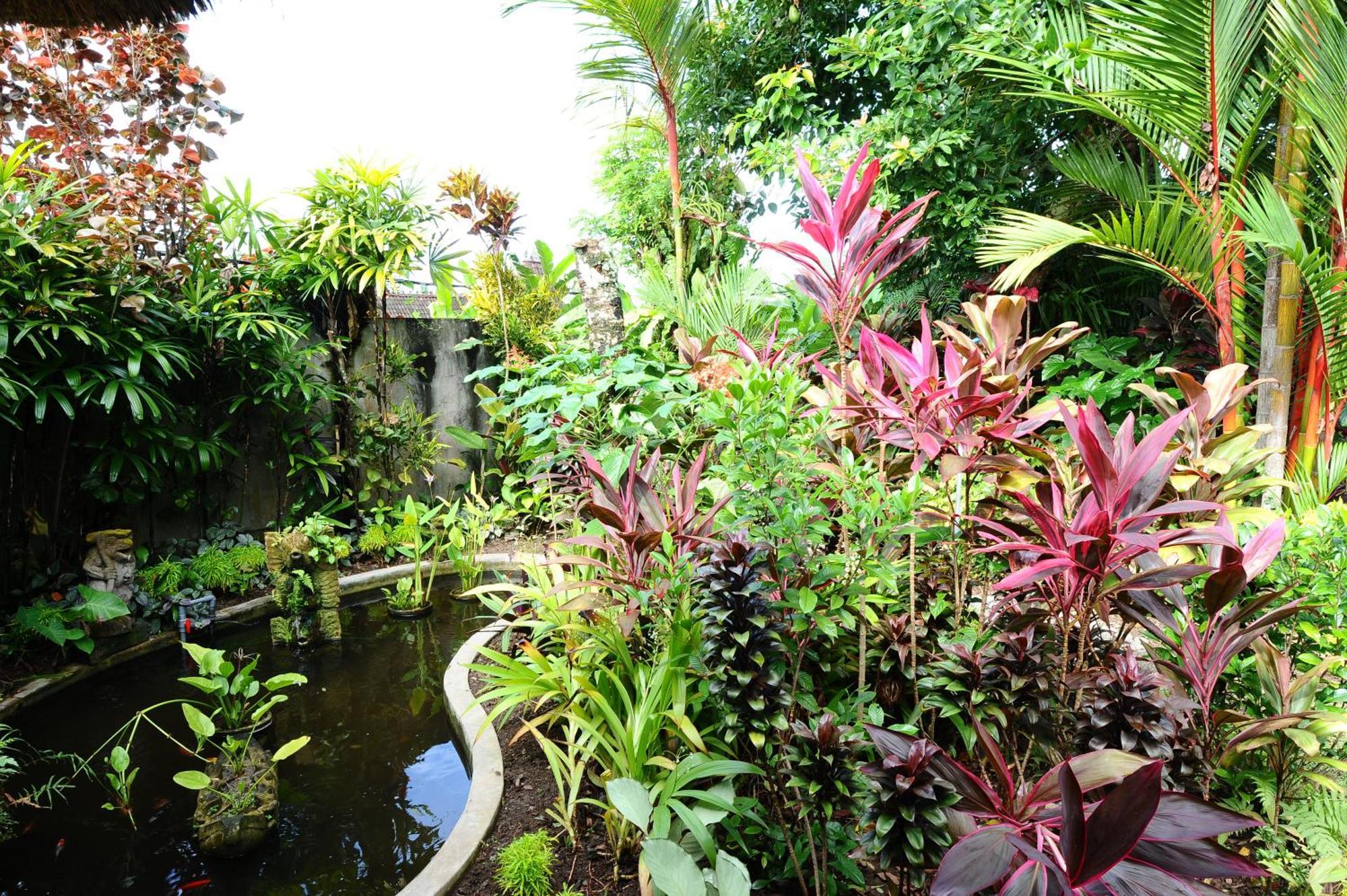 Mimpi * Ubud